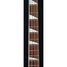 Rickenbacker 4003/4 , Fireglo: Neck - Front