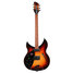 Rickenbacker 330/6 BH BT, Tobaccoglo: Full Instrument - Front