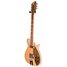 Rickenbacker 660/12 , Mapleglo: Neck - Front