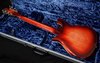 Rickenbacker 660/12 TP, Fireglo: Full Instrument - Rear