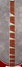 Rickenbacker 4003/4 , Ruby: Neck - Front