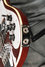 Rickenbacker 4001/4 , Burgundy: Close up - Free