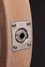 Rickenbacker 330/6 , Mapleglo: Close up - Free