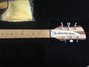Rickenbacker 330/6 , Natural Walnut: Headstock