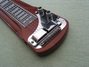 Rickenbacker SW/6 LapSteel, Mapleglo: Close up - Free