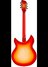 Rickenbacker 1993/12 Plus, Fireglo: Full Instrument - Rear