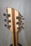 Rickenbacker 360/6 , Mapleglo: Headstock - Rear