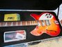 Rickenbacker 1993/12 Plus, Fireglo: Full Instrument - Front