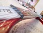 Rickenbacker 1993/12 Plus, Fireglo: Close up - Free2