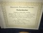 Rickenbacker 370/12 RM, Mapleglo: Free image2