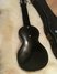 Rickenbacker B/6 LapSteel, Black: Full Instrument - Rear
