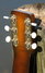 Rickenbacker Generic Lapsteel/6 LapSteel, Two tone brown: Headstock - Rear
