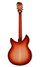 Rickenbacker 1993/12 Plus, Fireglo: Full Instrument - Rear