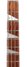 Rickenbacker 4003/4 , Mapleglo: Free image