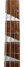 Rickenbacker 4003/4 , Midnightblue: Free image