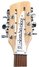 Rickenbacker 620/12 , Mapleglo: Headstock