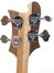 Rickenbacker 4003/4 , Natural Walnut: Headstock - Rear