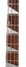 Rickenbacker 4003/4 , Midnightblue: Free image