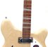 Rickenbacker 360/12 , Mapleglo: Neck - Front