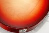 Rickenbacker 330/6 , Fireglo: Close up - Free