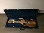 Rickenbacker 650/6 Dakota, Walnut: Free image