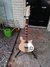 Rickenbacker 620/6 , Mapleglo: Full Instrument - Front