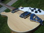 Rickenbacker 620/6 , Mapleglo: Free image