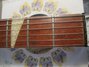 Rickenbacker 365/6 Mod, Fireglo: Free image