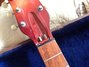 Rickenbacker ES16/6 Electro, Fireglo: Close up - Free