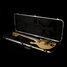 Rickenbacker 660/12 , Mapleglo: Free image