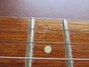 Rickenbacker ES16/6 Ryder, Fireglo: Neck - Front