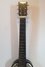 Rickenbacker B/6 LapSteel, Black: Neck - Front