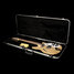 Rickenbacker 360/12 , Mapleglo: Neck - Front