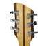 Rickenbacker 380/6 Mod, Natural Walnut: Headstock - Rear