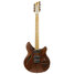 Rickenbacker 380/6 Mod, Natural Walnut: Full Instrument - Front