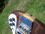 Rickenbacker 4003/4 S, Walnut: Free image