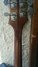 Rickenbacker 4001/4 Mod, Walnut: Headstock - Rear