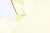 Rickenbacker 4003/8 BH BT, White: Close up - Free