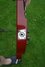 Rickenbacker 330/6 , Fireglo: Free image2