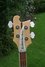 Rickenbacker 4001/4 , Mapleglo: Headstock