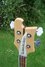 Rickenbacker 4001/4 , Mapleglo: Close up - Free