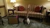 Rickenbacker 620/6 Mod, Black: Free image