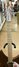 Rickenbacker 330/12 , Natural Walnut: Neck - Front