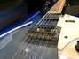 Rickenbacker 360/12 , Blueburst: Free image