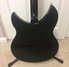 Rickenbacker 340/6 , Jetglo: Full Instrument - Rear