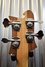 Rickenbacker 4003/4 , Natural Walnut: Headstock - Rear