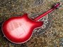 Rickenbacker 360/6 , Fireglo: Full Instrument - Rear