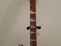 Rickenbacker 660/12 , Fireglo: Neck - Front
