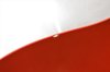 Rickenbacker 330/6 , Ruby: Close up - Free2