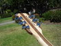 Rickenbacker 330/12 , Natural Walnut: Headstock - Rear